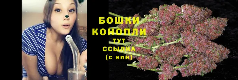 MEGA ссылка  Черняховск  Каннабис OG Kush 